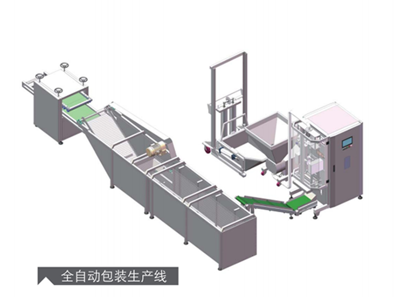 全自動包裝生產線